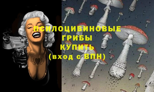 винт Михайловка