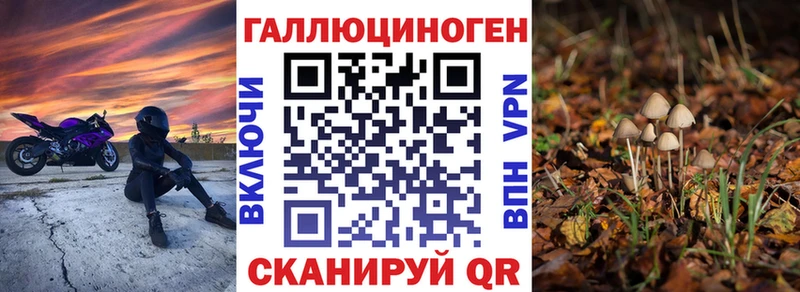 hydra как зайти  Фурманов  Псилоцибиновые грибы прущие грибы 